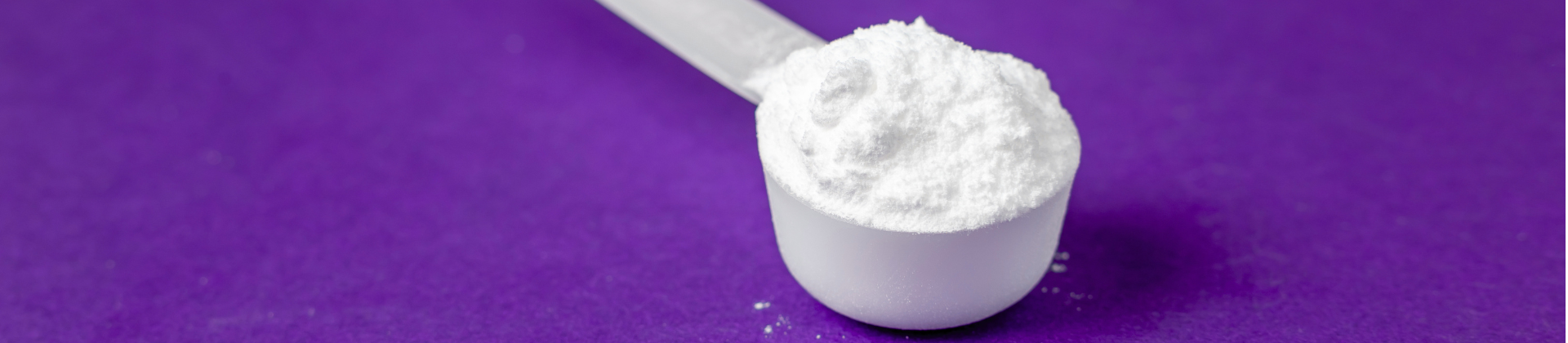 Web_pic_1920x420_fortis_glutamine.png (762 KB)