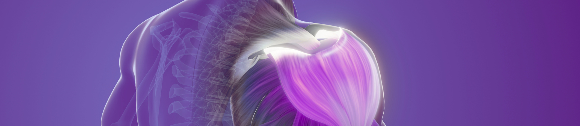 Web_pic_1920x420_fortis_hmb.png (636 KB)