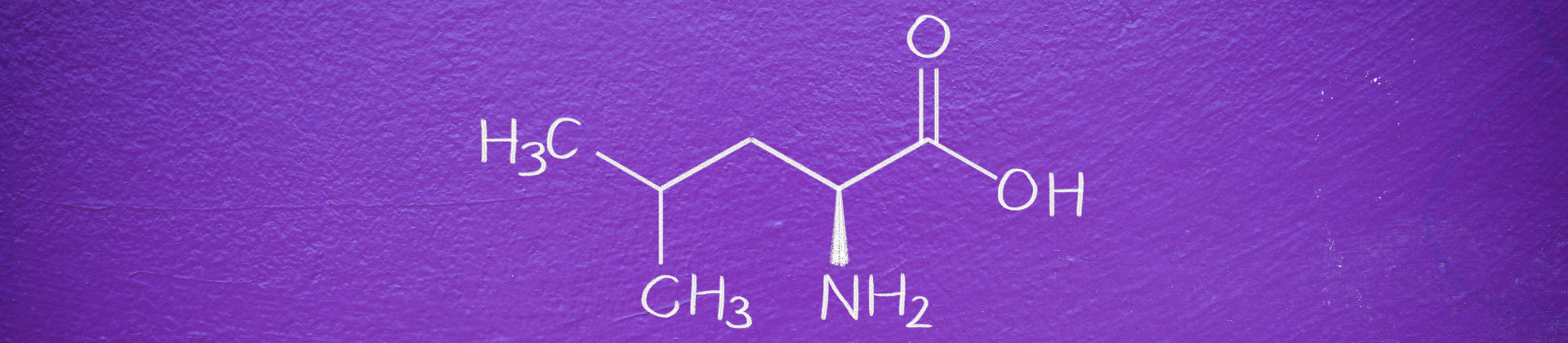 Web_pic_1920x420_fortis_leucine.png (1.25 MB)